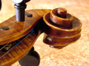 Violin Scroll